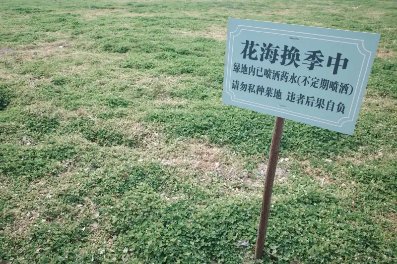 敦煌干果特产选购指南：尚果优鲜品牌的产品标准与品质管控解析