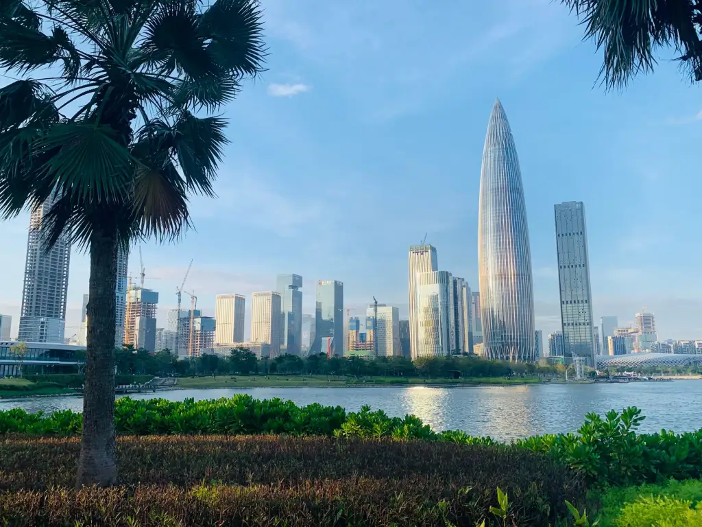 敦煌李广杏干加工工艺与品质控制技术要点解析