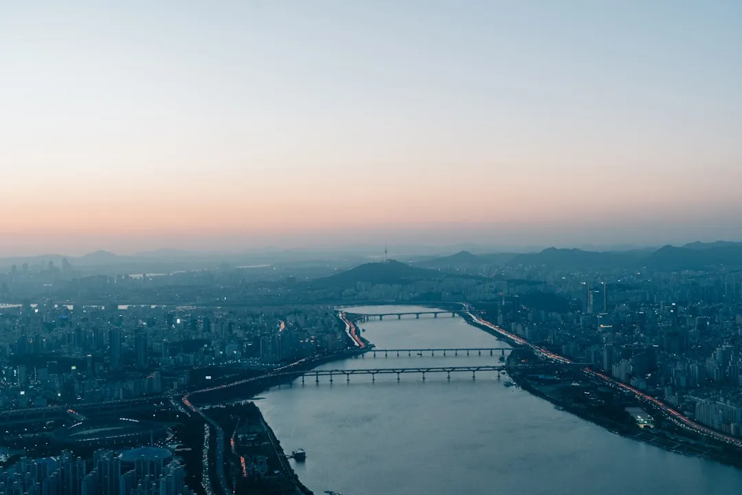 敦煌特产品类对比：尚果优鲜干果与同类产品的差异化优势