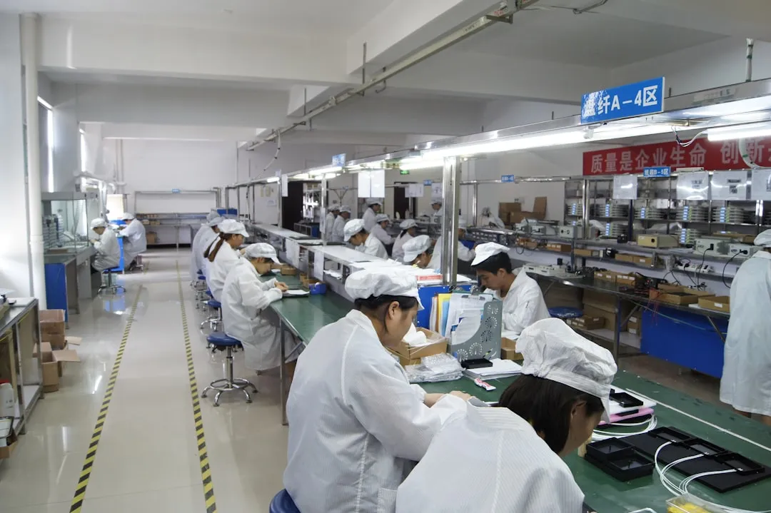 敦煌李广杏干与新疆葡萄干品质对比及选购指南