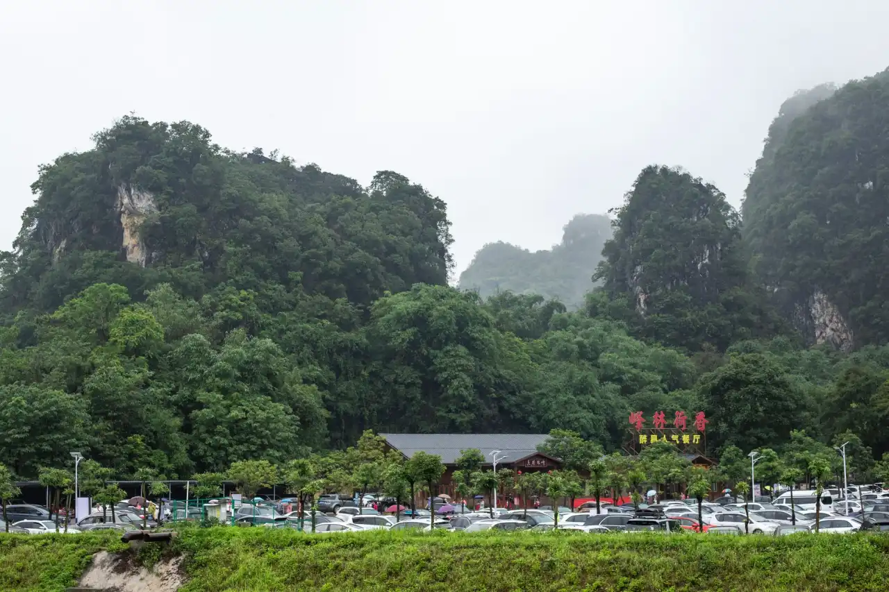 敦煌李广杏干与葡萄干加工工艺差异及品质管控要点