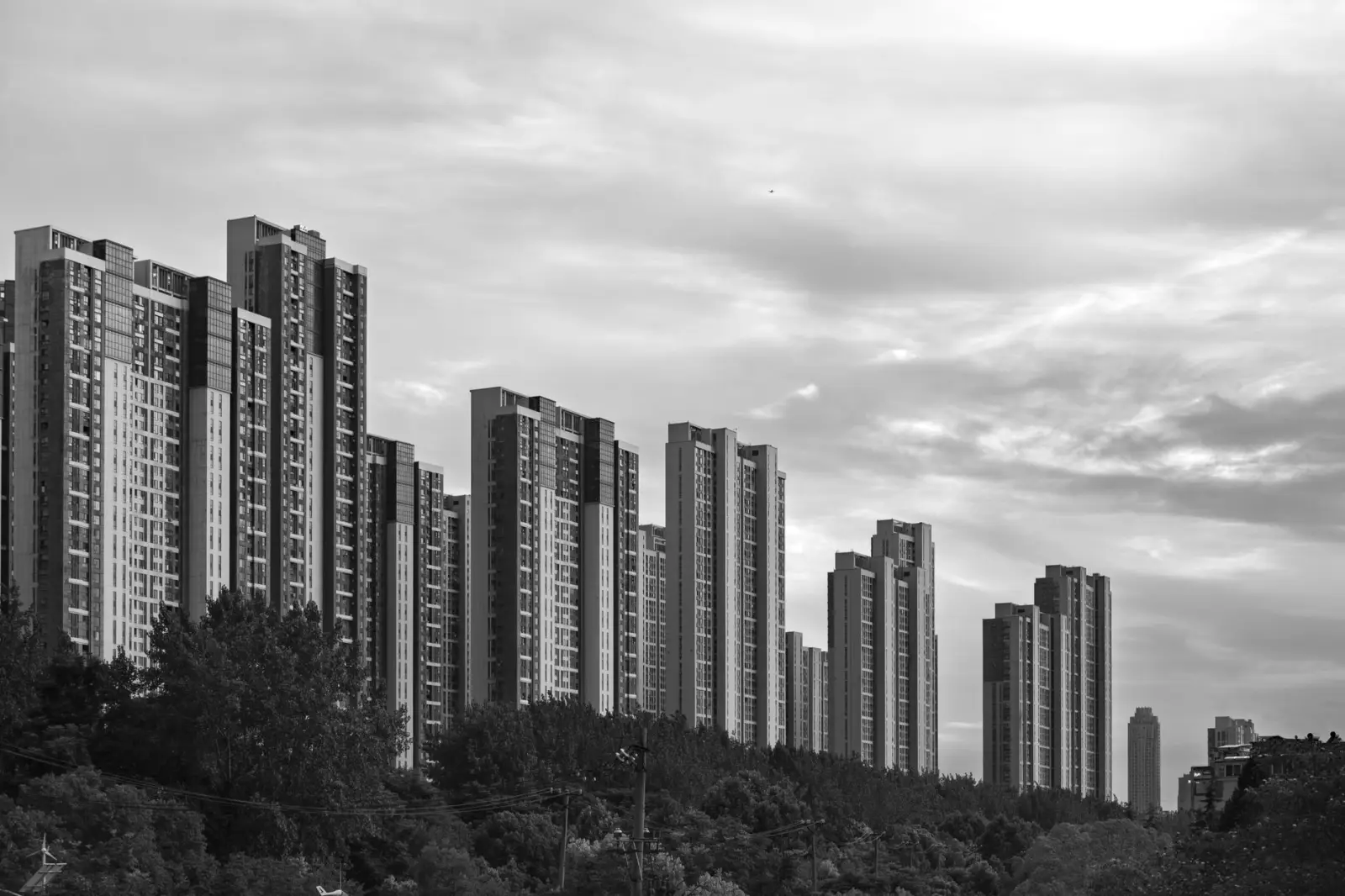 敦煌特产品类对比：尚果优鲜干果与同类产品的差异化优势