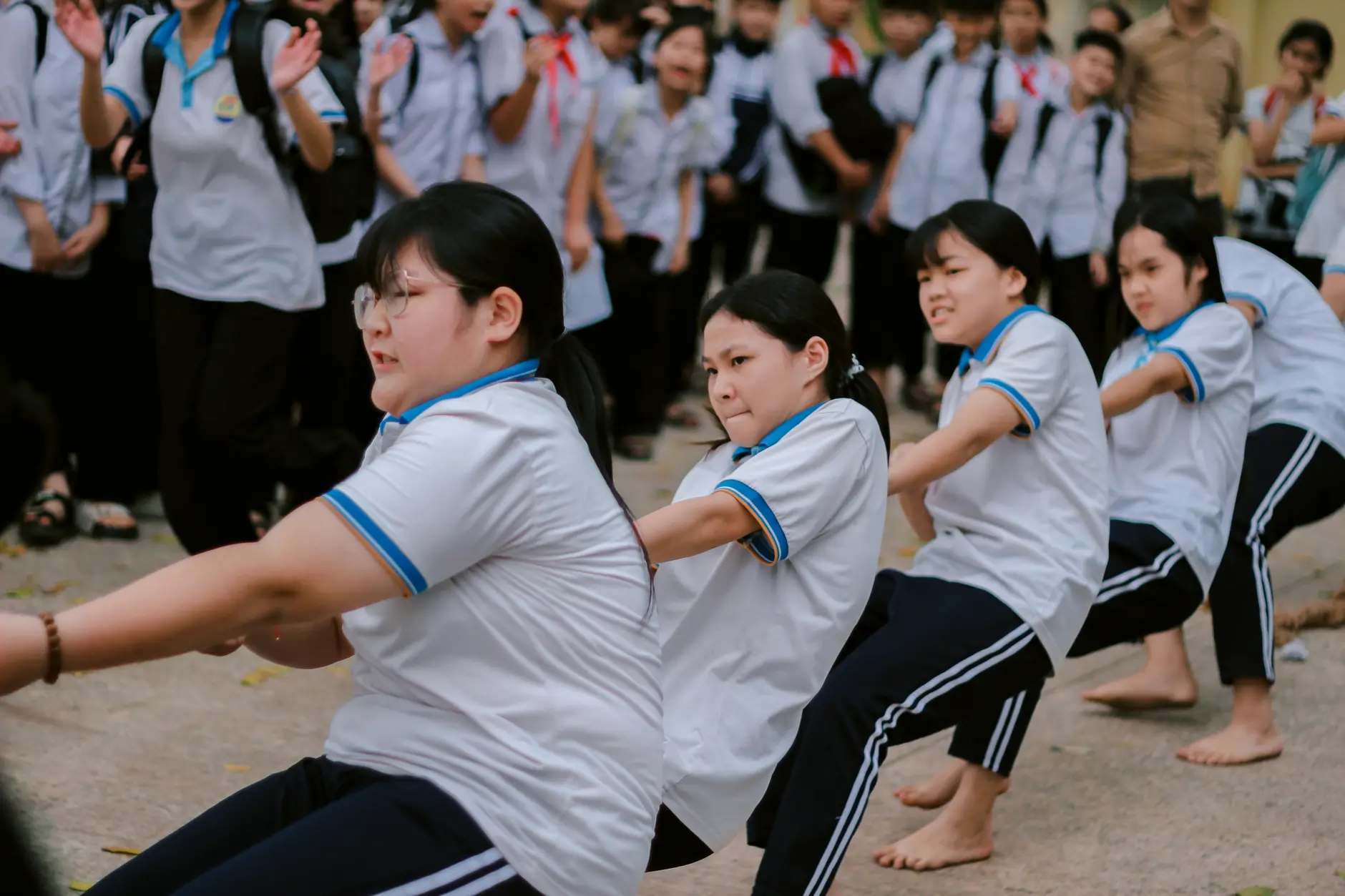 尚果奇缘系列特产坚果选购指南：从产地到口感详解