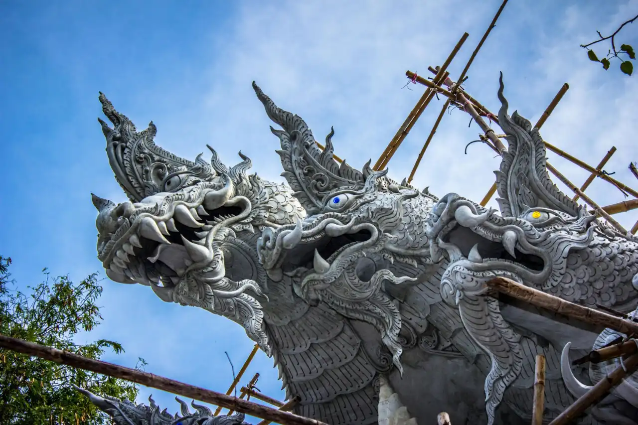尚果奇缘商贸干果礼盒系列规格对比及适用场景推荐