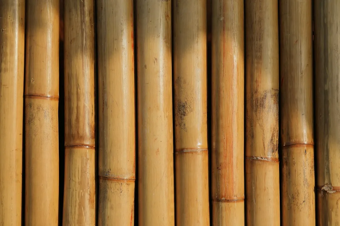 敦煌特色干果供应链质量管控体系构建与实践要点